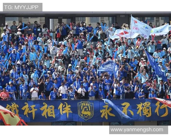 南京排球队意识对比分析:战术思维与团队协作的深度探讨